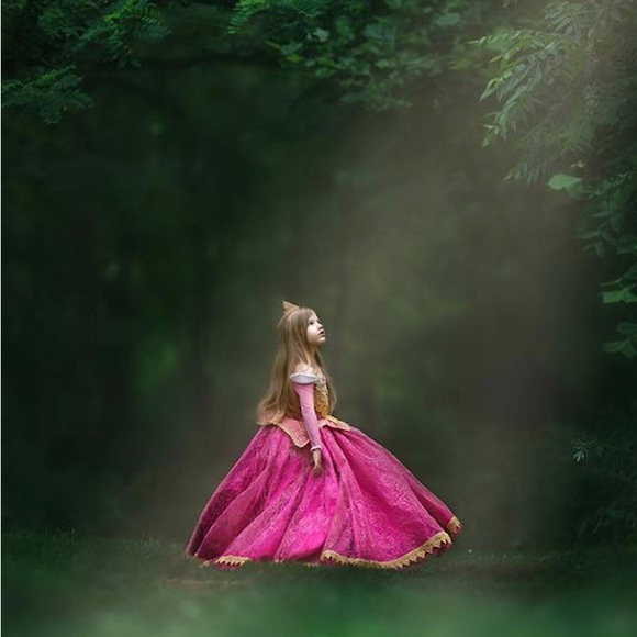 Luxury Aurora Rapunzel Costume Dress 5036 - Picture 7 of 7